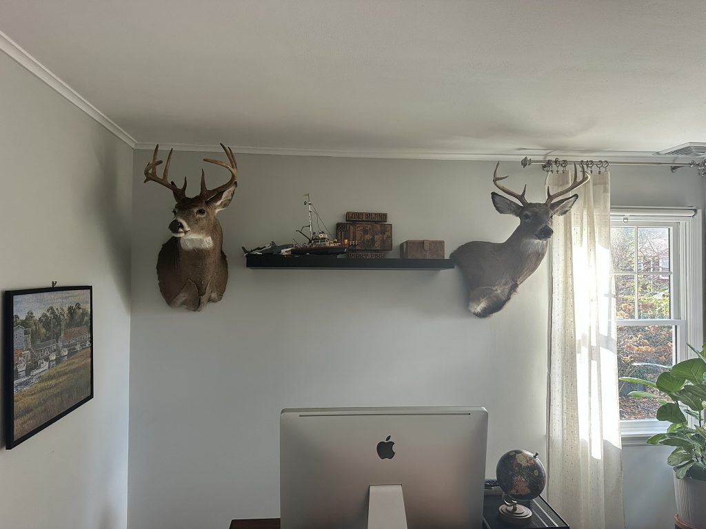 Deer heads and a floating shelf in Deer Park, NY